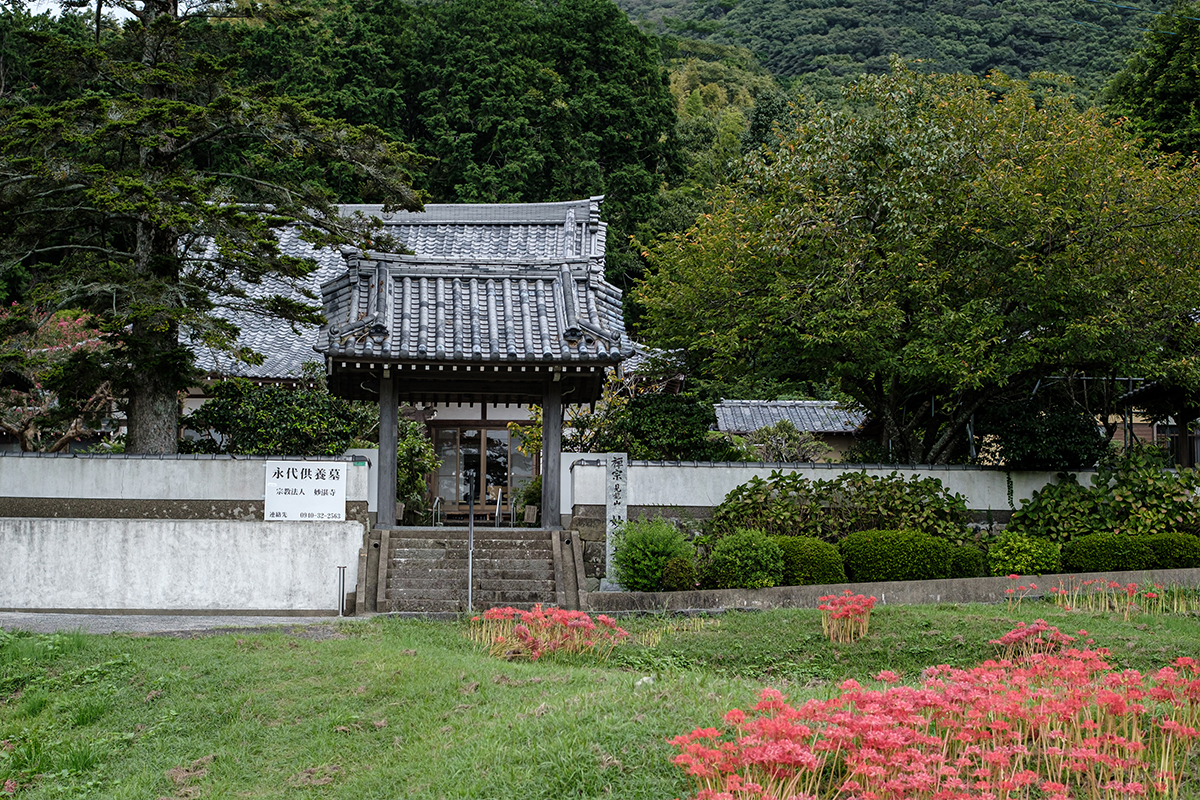 妙湛寺