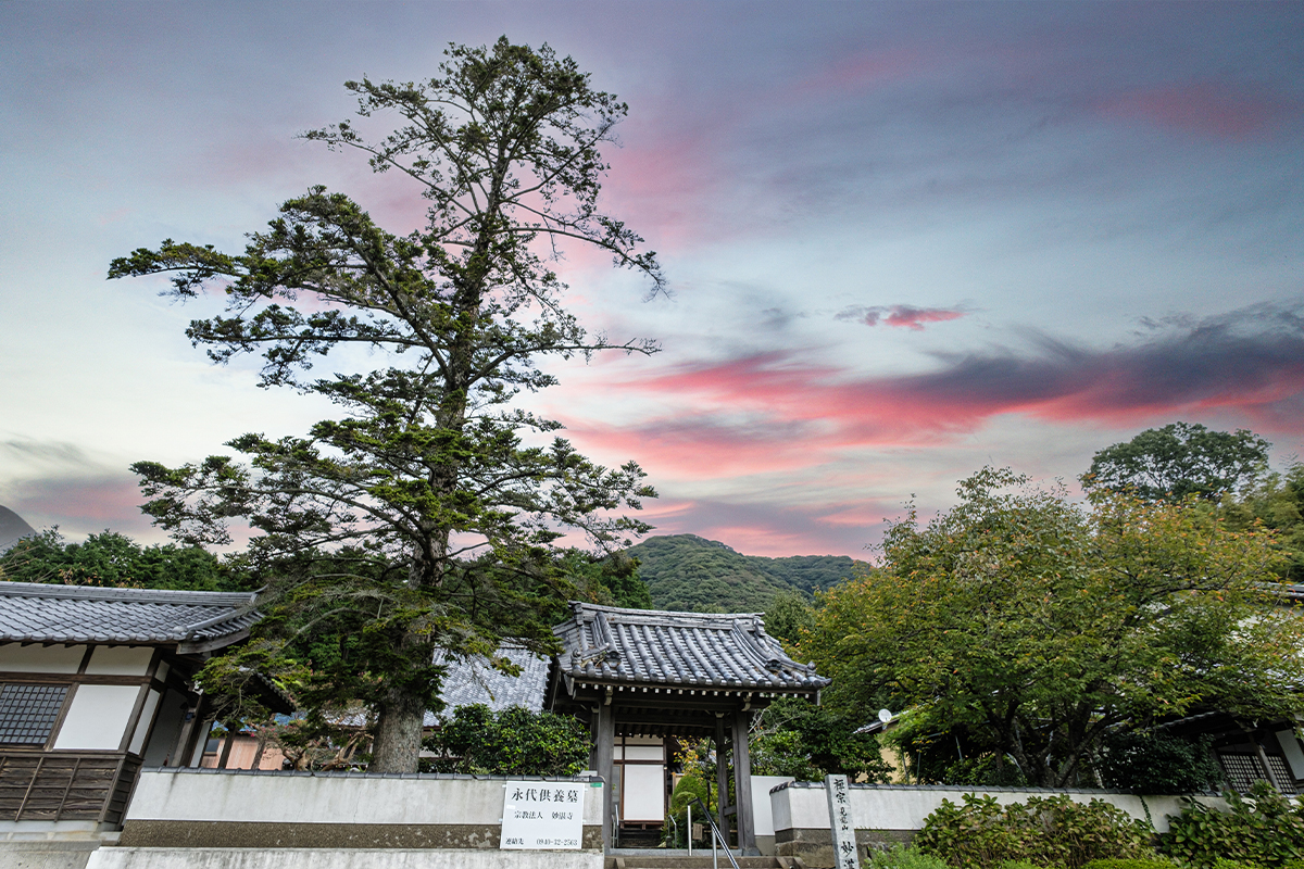 妙湛寺