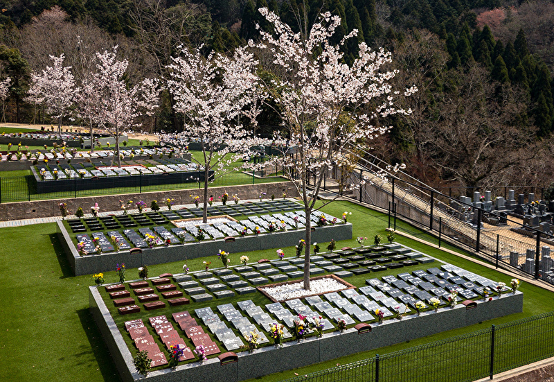 森の庵の樹木葬 区画全景｜桜の木を中心に広がる夫婦で入れる樹木葬の風景