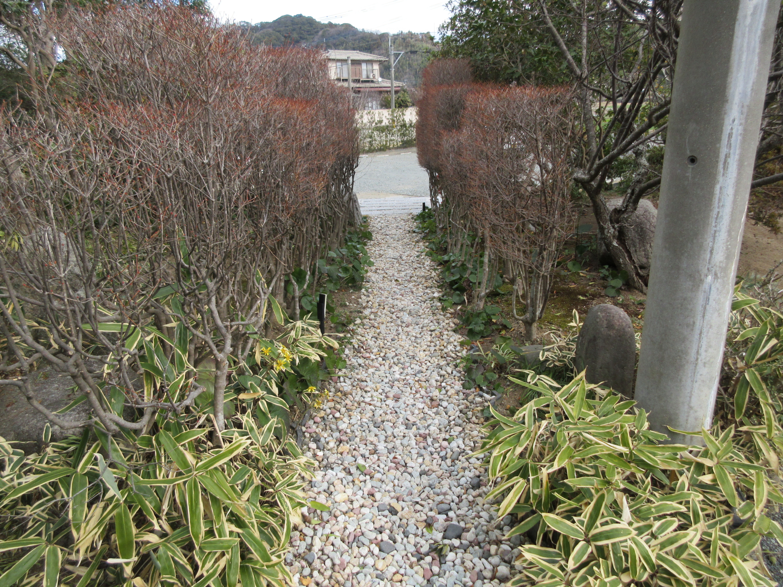 植栽と参道が続く園内の風景