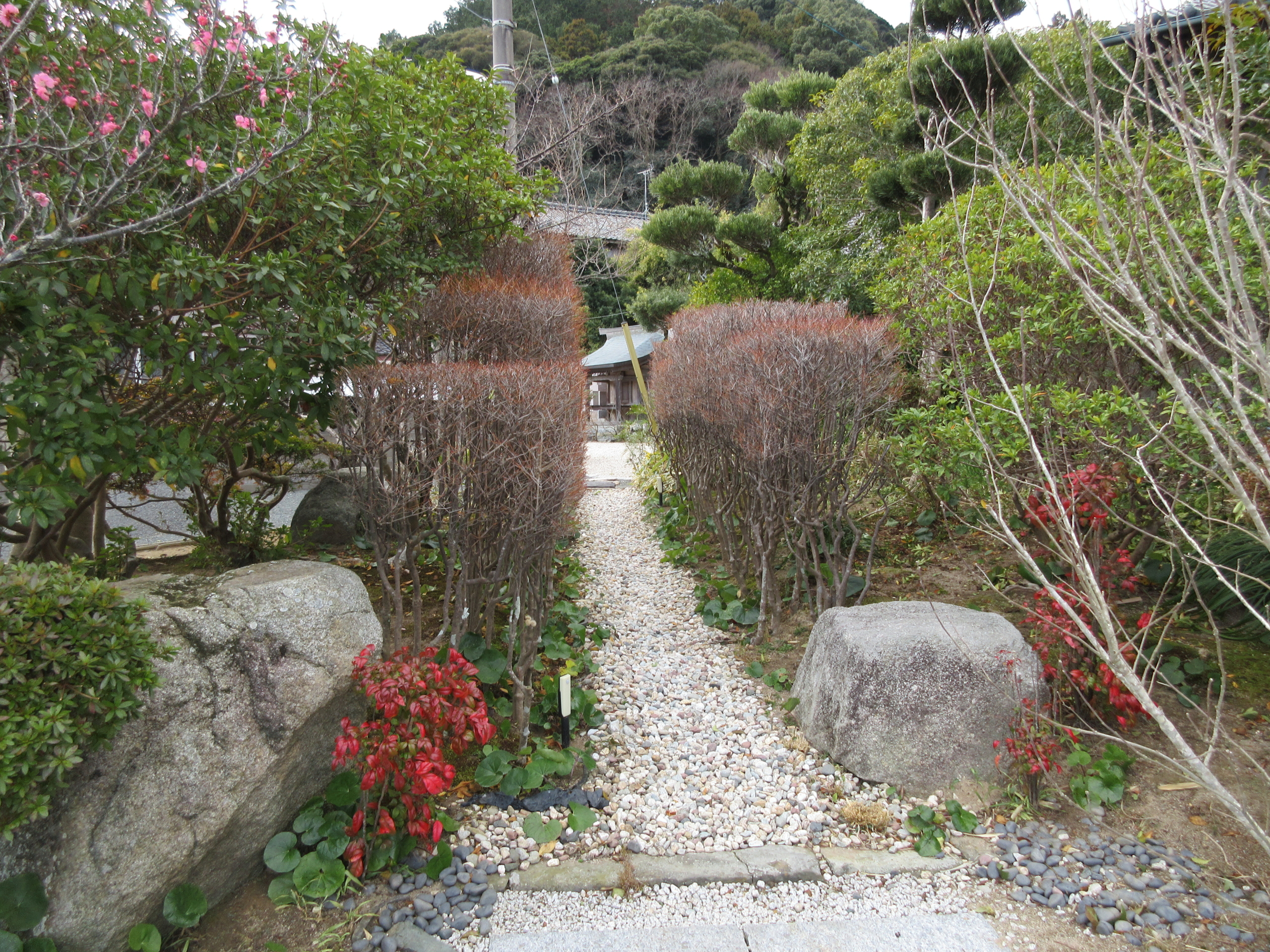 植栽に囲まれた園内の小道(森の庵)